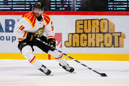 Brynäs Anton Rödin