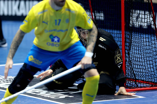 Gool keeper Jon Hedlund of Sweden
