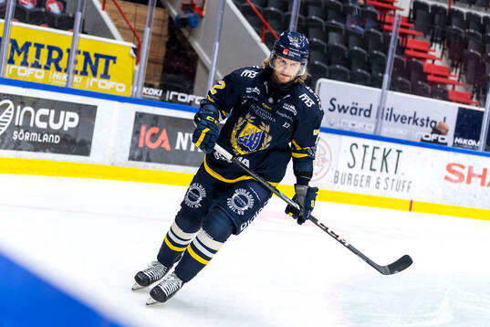Södertäljes Nicolai Meyer