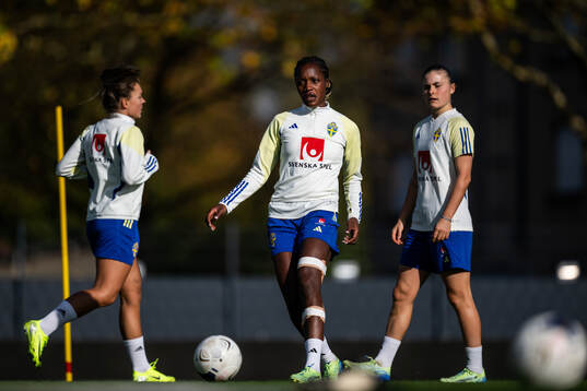 Evelyn Ijeh of the Swedish women's national football team