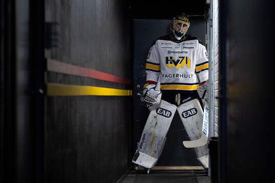 HV71s målvakt Frederik Dichow