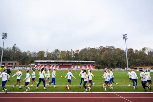 Players of the Swedish women's national football team