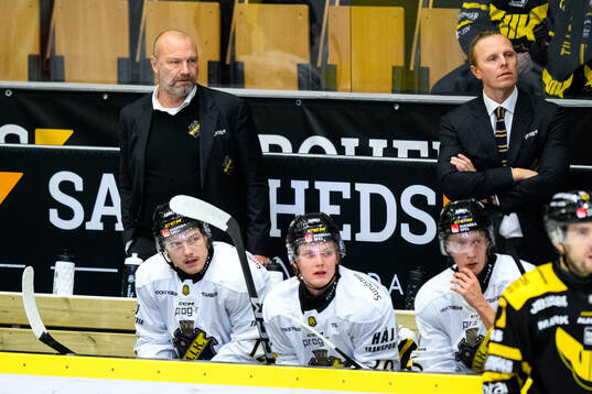 AIKs assisterande tränare Fredrik Hallberg och