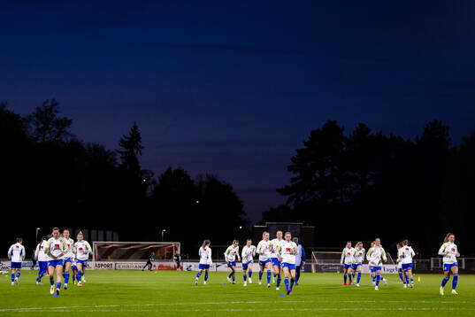 Players of Sweden