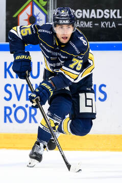 HV71s Radan Lenc