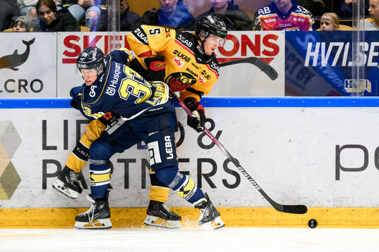 HV71s Måns Lindbäck och Luleås Marcus Hardegård