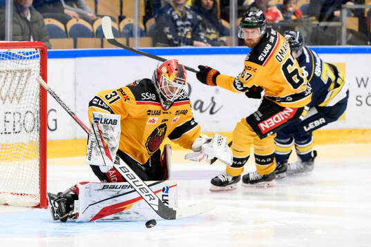 Luleås målvakt Matteus Ward