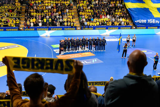 Players of Sweden