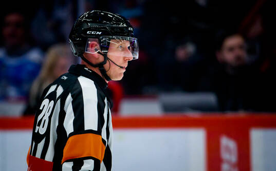 Domare Mikael Holm