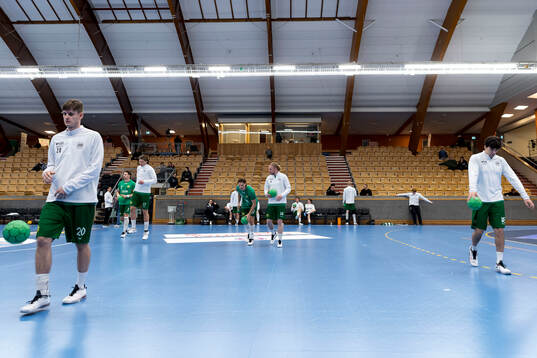 Hammarbys spelare