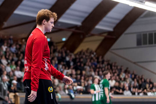 Hammarbys målvakt Linus Bergh