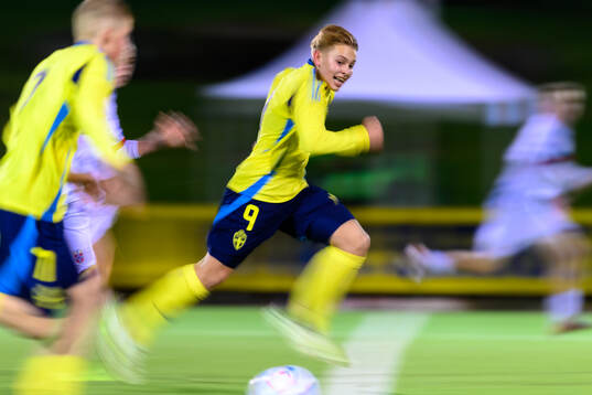 Harry Gruneus of Sweden