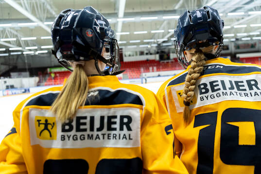 Norrbottens spelare