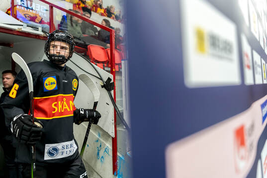 Skånes Vide Forsmark