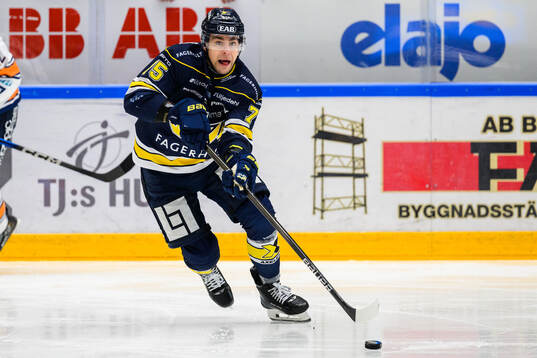 HV71s Radan Lenc
