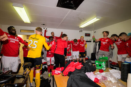 Degerfors spelare jublar