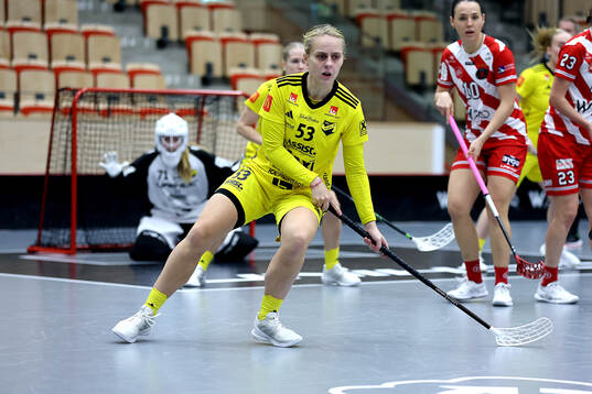 Endres Elin Roos