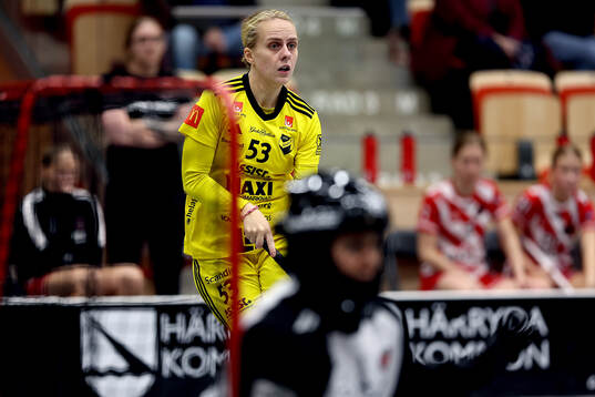 Endres Elin Roos