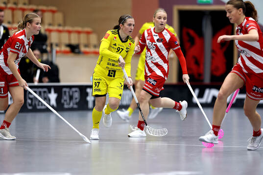 Endres Erika Nilsson
