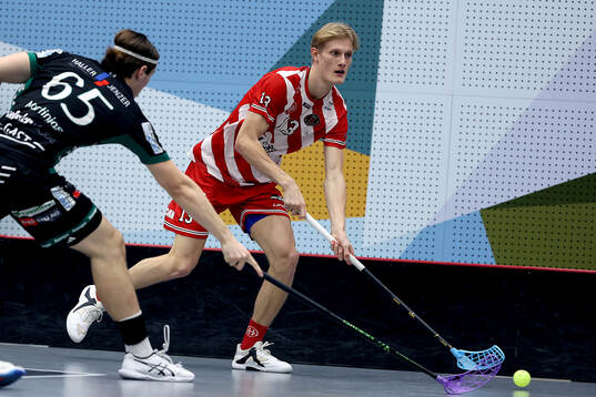 Pixbos Arvid Äse