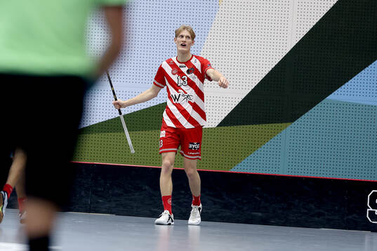 Pixbos Arvid Äse