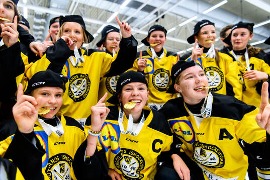 Bläddra bland fler bilder av Ishockey, TV-Pucken, Final, Södermanland - Västergötland