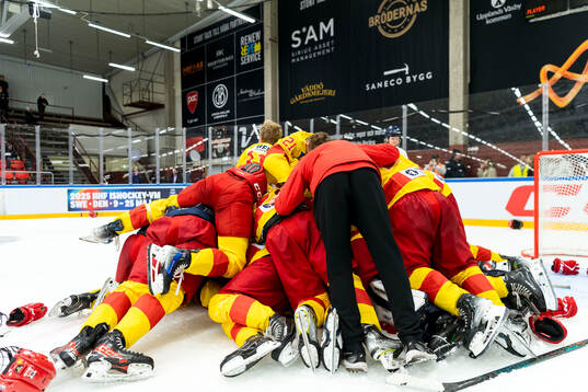 Smålands spelare jublar