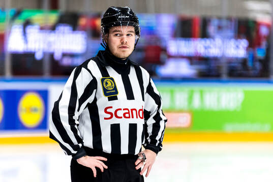 Domare Filip Friberg