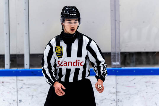 Domare Elliot Östlin