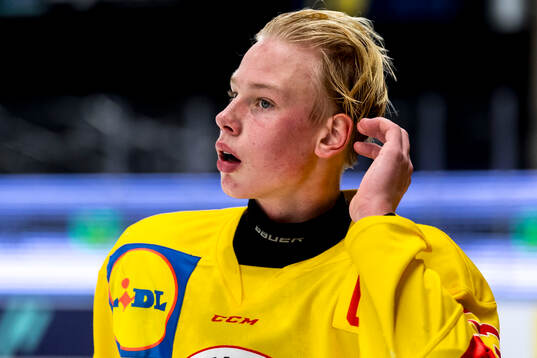 Smålands Alexander Thunblom