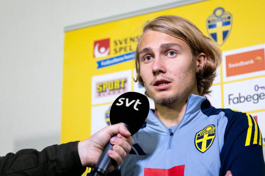 Sebastian Nanasi of the Swedish men's football national