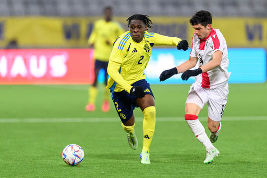 William Rashidi of Sweden and Luka Tsulaia of Georgia