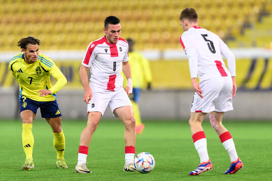 Simon Sjöholm of Sweden and Tsotne Berelidze of Georgia