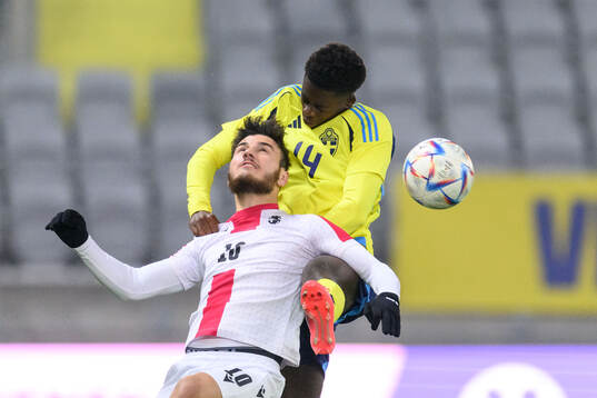Saba Samushia of Georgia and Alieu Atlee Manneh of Sweden