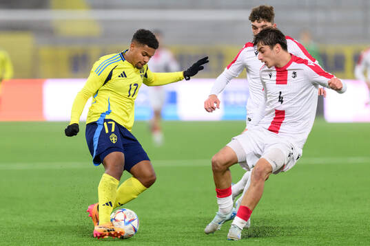 Santino Samuyiwa of Sweden and Saba Kharebashvili of Georgia