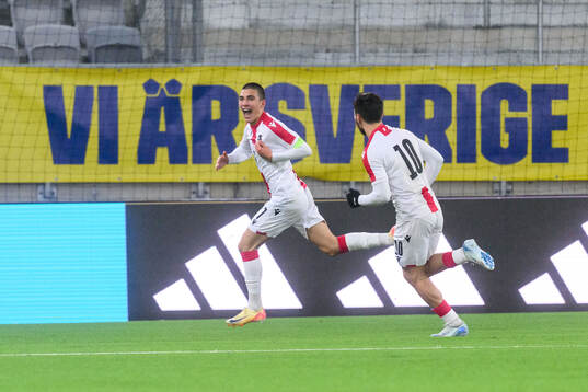 Saba Geguchadze of Georgia celebrates