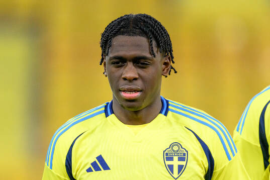 William Rashidi of Sweden at lineup