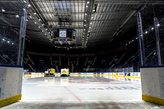 Ishockeyrinken på Hovet