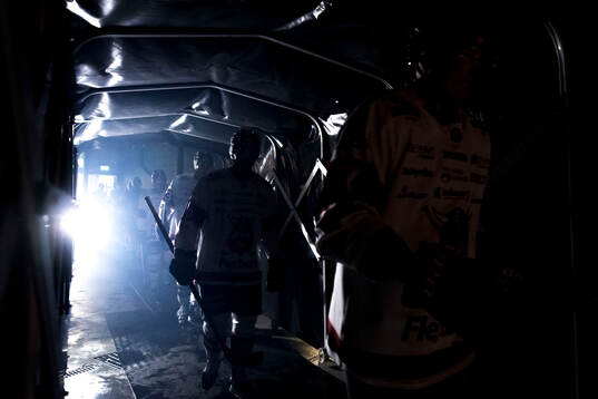 Nybro Vikings spelare
