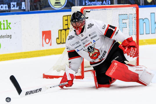 Nybro Vikings målvakt Tex Williamsson