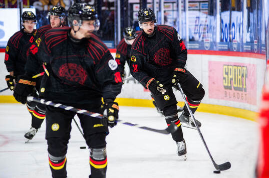 Brynäs Tyler Vesel