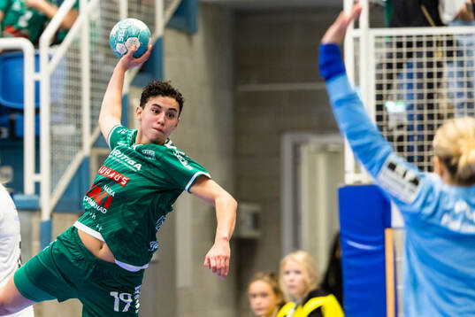 Skurus Michelle Holgersson