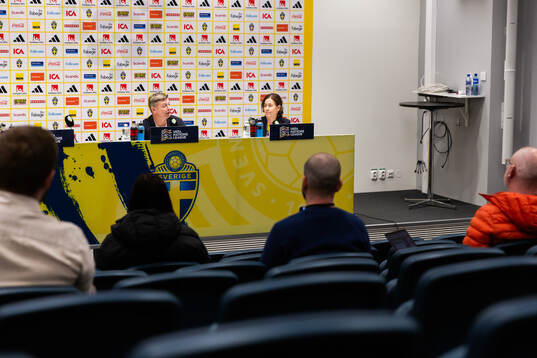 Head coach Jon Dahl Tomasson of Sweden