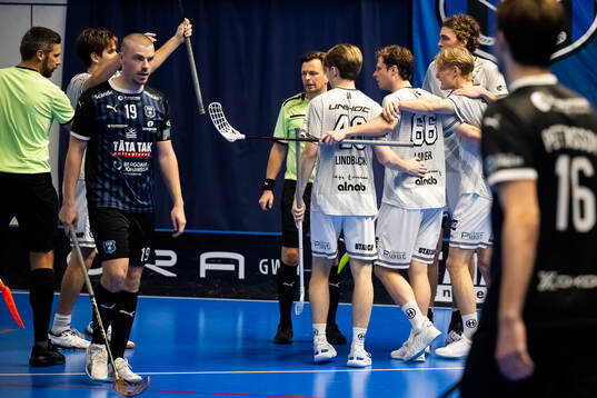 Helsingborgs Linus Bergström deppar