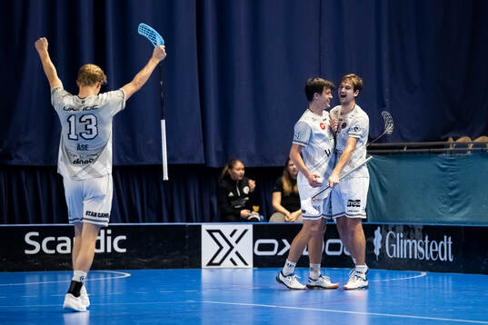Pixbos Linus Nestorsson och Gustav Fritzell jublar