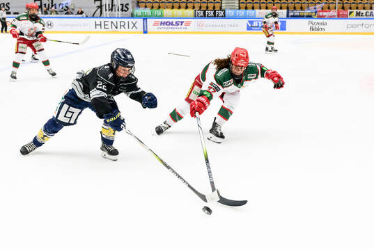 HV71s Kennedy Bobyck och Modos Alexie Guay