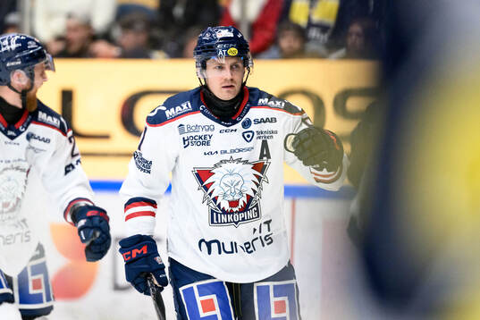 Linköpings Markus Ljungh jublar