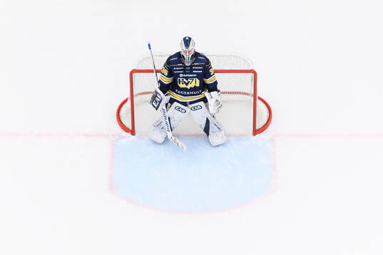 HV71s målvakt Olof Glifford
