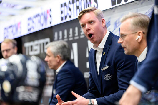 HV71s tränare Anton Blomqvist