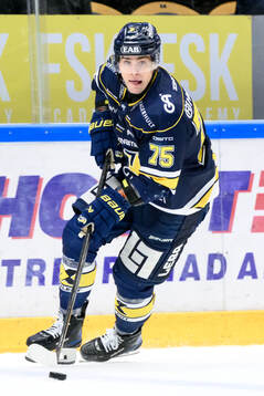 HV71s Radan Lenc